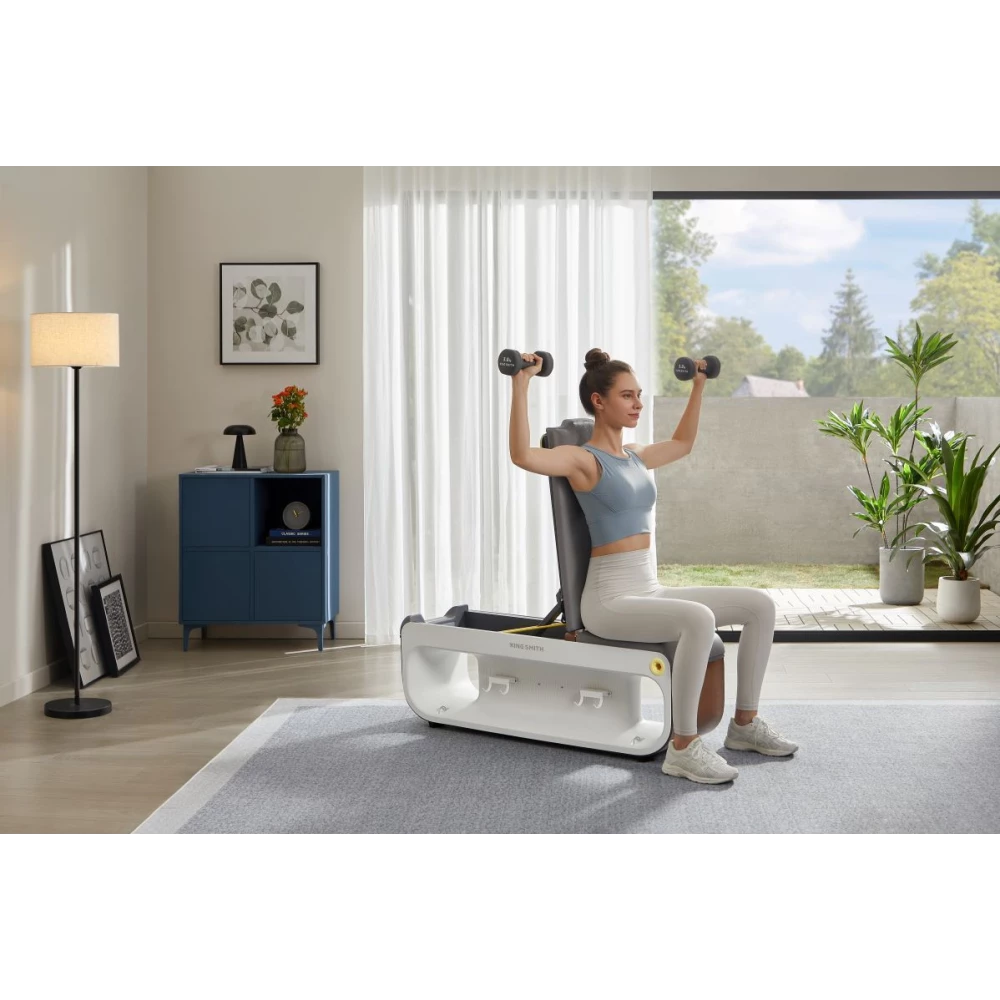 Foldable Fitness Chair