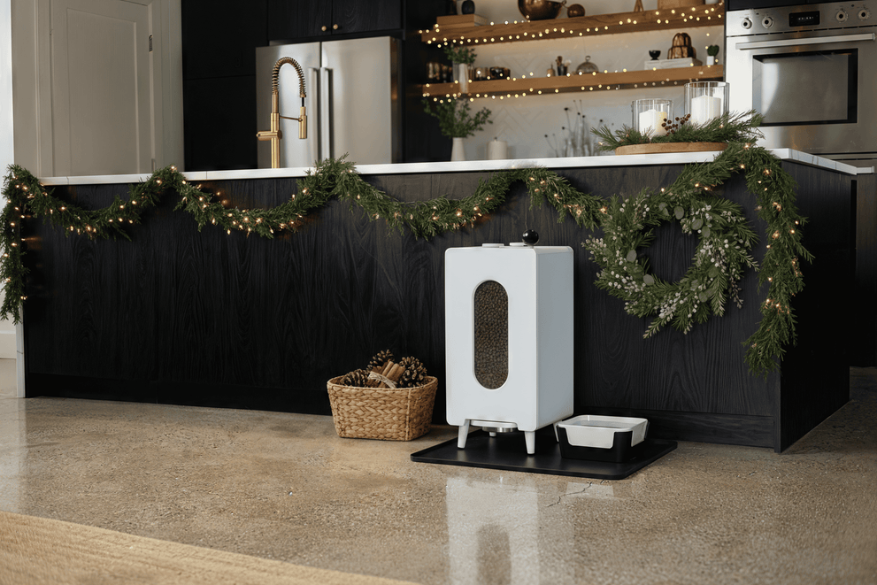 KibbleHaus Pet Feeder