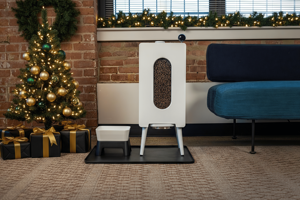 KibbleHaus Pet Feeder