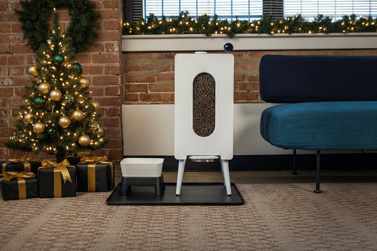 KibbleHaus Pet Feeder