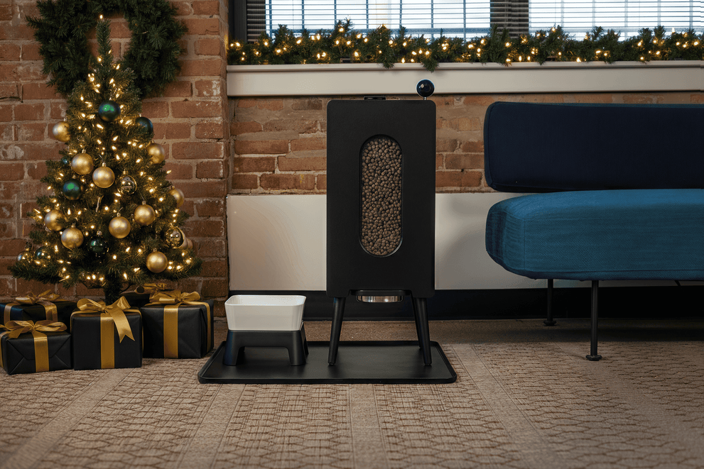 KibbleHaus Pet Feeder