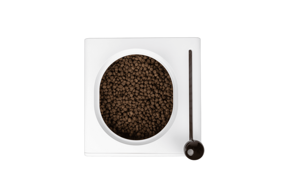 KibbleHaus Pet Feeder