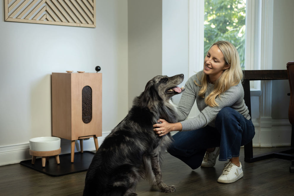 KibbleHaus Pet Feeder